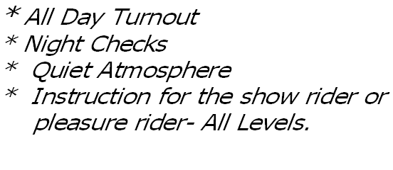 wp5a6c638d.png