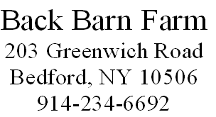 wp5c80afec.png